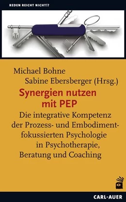 Abbildung von Bohne / Ebersberger | Synergien nutzen mit PEP | 1. Auflage | 2019 | beck-shop.de