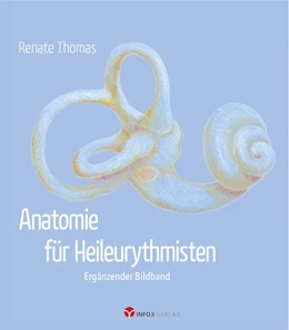 Abbildung von Thomas | Anatomie für Heileurythmisten | 1. Auflage | 2019 | beck-shop.de