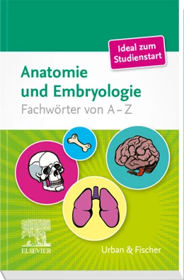 Abbildung von Elsevier Gmbh | Anatomische Fachwörter von A-Z | 1. Auflage | 2019 | beck-shop.de