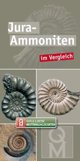 Abbildung von Quelle & Meyer Verlag | Jura-Ammoniten | 1. Auflage | 2019 | beck-shop.de