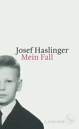Abbildung von Haslinger | Mein Fall | 1. Auflage | 2020 | beck-shop.de