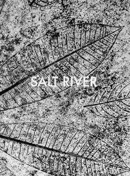 Abbildung von Posingis | Salt River | 1. Auflage | 2025 | beck-shop.de