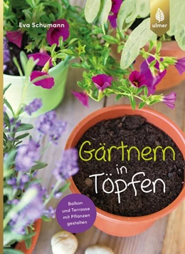Abbildung von Schumann | Gärtnern in Töpfen | 1. Auflage | 2019 | beck-shop.de