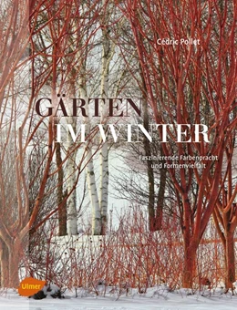 Abbildung von Pollet | Gärten im Winter | 1. Auflage | 2019 | beck-shop.de