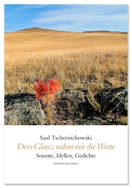 Abbildung von Tschernichowski | Dein Glanz nahm mir die Worte | 1. Auflage | 2020 | beck-shop.de