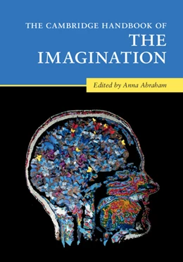 Abbildung von Abraham | The Cambridge Handbook of the Imagination  | 1. Auflage | 2020 | beck-shop.de
