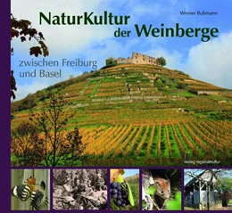 Abbildung von Bußmann | NaturKultur der Weinberge zwischen Freiburg und Basel | 1. Auflage | 2019 | beck-shop.de