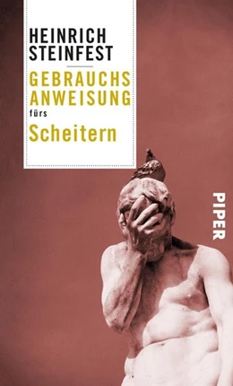 Abbildung von Steinfest | Gebrauchsanweisung fürs Scheitern | 1. Auflage | 2019 | beck-shop.de