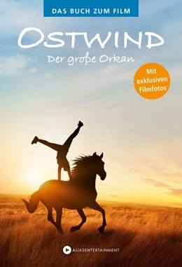 Abbildung von Schmidbauer | Ostwind - Der große Orkan | 1. Auflage | 2020 | beck-shop.de