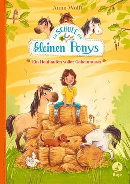 Abbildung von Wolff | Die Schule der kleinen Ponys - Ein Heuhaufen voller Geheimnisse | 1. Auflage | 2020 | beck-shop.de