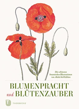 Abbildung von Blumenpracht und Blütenzauber | 1. Auflage | 2020 | beck-shop.de