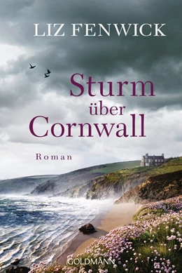 Abbildung von Fenwick | Sturm über Cornwall | 1. Auflage | 2021 | beck-shop.de