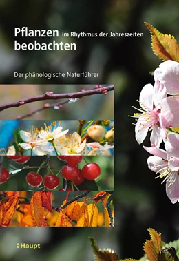 Abbildung von Badeau / Bonhomme | Pflanzen im Rhythmus der Jahreszeiten beobachten | 1. Auflage | 2020 | beck-shop.de