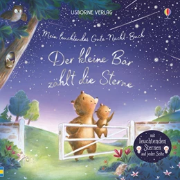 Abbildung von Taplin | Mein leuchtendes Gute-Nacht-Buch: Der kleine Bär zählt die Sterne | 1. Auflage | 2020 | beck-shop.de