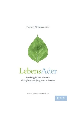 Abbildung von Steckmeier | LebensAder | 1. Auflage | 2019 | beck-shop.de