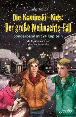 Abbildung von Meier | Die Kaminski-Kids: Der große Weihnachts-Fall | 1. Auflage | 2019 | beck-shop.de