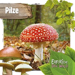 Abbildung von Twiddy | Pilze | 1. Auflage | 2020 | beck-shop.de