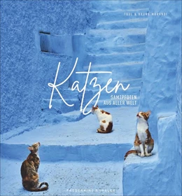 Abbildung von Morandi | Katzen | 1. Auflage | 2020 | beck-shop.de
