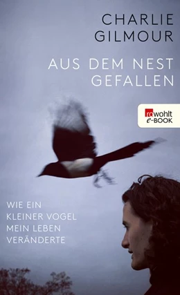 Abbildung von Gilmour | Elsterjahre | 1. Auflage | 2021 | beck-shop.de