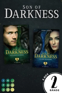 Abbildung von Lionera | Son of Darkness: Sammelband der einzigartigen Götter-Fantasyserie »Son of Darkness« | 1. Auflage | 2020 | beck-shop.de