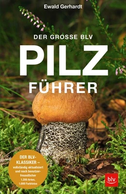 Abbildung von Gerhardt | Der große BLV Pilzführer | 1. Auflage | 2020 | beck-shop.de