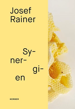 Abbildung von Josef Rainer | 1. Auflage | 2019 | beck-shop.de