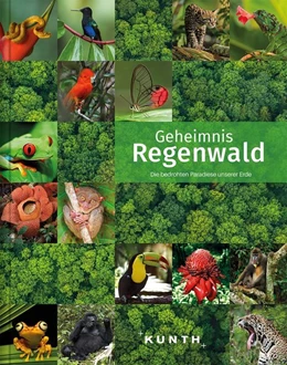 Abbildung von Kunth Verlag | KUNTH Bildband Geheimnis Regenwald | 1. Auflage | 2020 | beck-shop.de