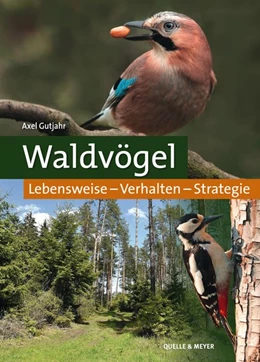 Abbildung von Gutjahr | Waldvögel | 1. Auflage | 2020 | beck-shop.de