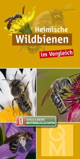 Abbildung von Quelle & Meyer Verlag | 10er-Set: Heimische Wildbienen im Vergleich | 1. Auflage | 2020 | beck-shop.de