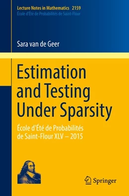 Abbildung von de Geer | Estimation and Testing Under Sparsity | 1. Auflage | 2016 | beck-shop.de