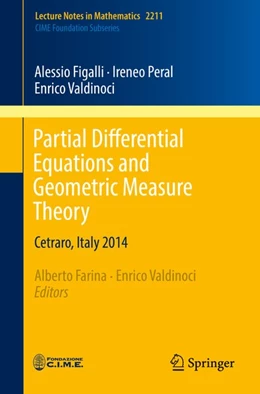 Abbildung von Figalli / Farina | Partial Differential Equations and Geometric Measure Theory | 1. Auflage | 2018 | beck-shop.de
