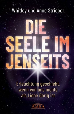 Abbildung von Strieber | DIE SEELE IM JENSEITS | 1. Auflage | 2020 | beck-shop.de