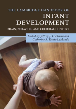 Abbildung von Lockman / Tamis-LeMonda | The Cambridge Handbook of Infant Development  | 1. Auflage | 2020 | beck-shop.de