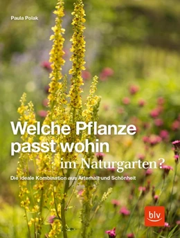 Abbildung von Polak | Welche Pflanze passt wohin im Naturgarten? | 1. Auflage | 2020 | beck-shop.de