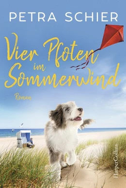 Abbildung von Schier | Vier Pfoten im Sommerwind | 1. Auflage | 2021 | beck-shop.de