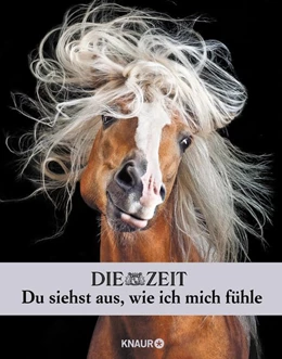Abbildung von Die Zeit. Du siehst aus, wie ich mich fühle | 1. Auflage | 2020 | beck-shop.de