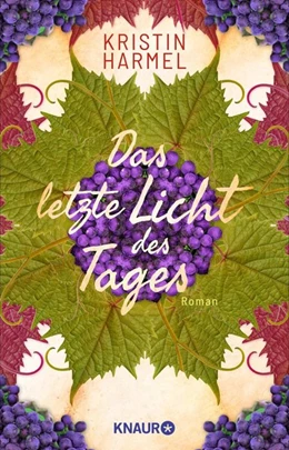 Abbildung von Harmel | Das letzte Licht des Tages | 1. Auflage | 2020 | beck-shop.de