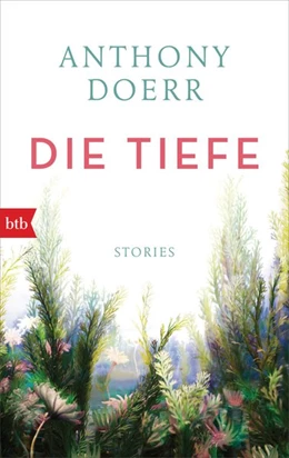 Abbildung von Doerr | Die Tiefe | 1. Auflage | 2020 | beck-shop.de