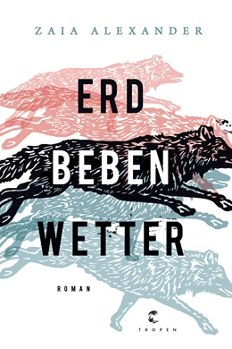 Abbildung von Alexander | Erdbebenwetter | 1. Auflage | 2020 | beck-shop.de
