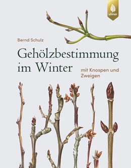 Abbildung von Schulz | Gehölzbestimmung im Winter | 3. Auflage | 2020 | beck-shop.de