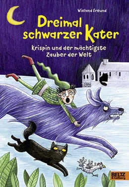 Abbildung von Freund | Dreimal schwarzer Kater | 1. Auflage | 2020 | beck-shop.de
