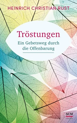 Abbildung von Rust | Tröstungen | 1. Auflage | 2020 | beck-shop.de