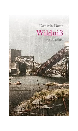 Abbildung von Danz | Wildniß | 1. Auflage | 2020 | beck-shop.de