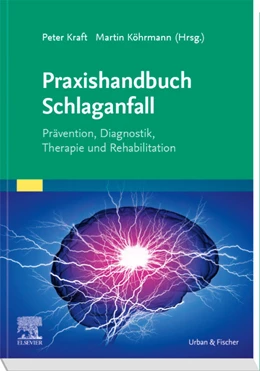 Abbildung von Kraft / Köhrmann | Praxishandbuch Schlaganfall | 1. Auflage | 2020 | beck-shop.de