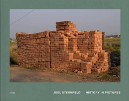 Abbildung von Sternfeld | History in Pictures | 1. Auflage | 2025 | beck-shop.de