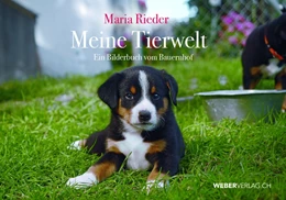 Abbildung von Rieder | Meine Tierwelt | 1. Auflage | 2020 | beck-shop.de