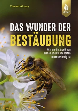 Abbildung von Albouy | Das Wunder der Bestäubung | 1. Auflage | 2020 | beck-shop.de