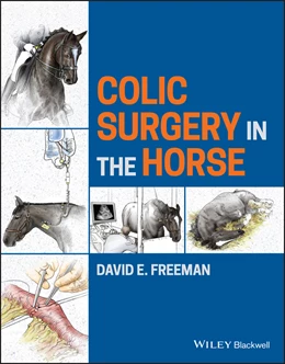 Abbildung von Freeman | Colic Surgery in the Horse | 1. Auflage | 2025 | beck-shop.de