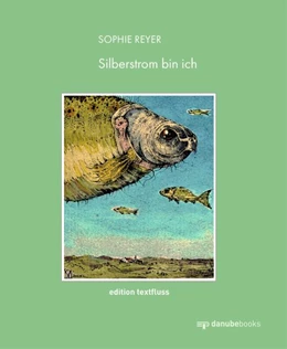 Abbildung von Reyer | Silberstrom bin ich | 1. Auflage | 2021 | beck-shop.de