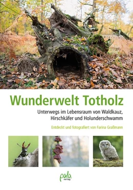 Abbildung von Graßmann | Wunderwelt Totholz | 1. Auflage | 2020 | beck-shop.de